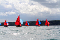 Mirror Dinghies competing at Brixham in the European Championships