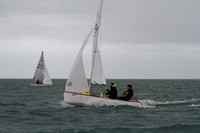 GP 14s Competing at Brixham