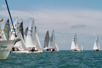 Hornets and Kestrels competing in Brixham Devon