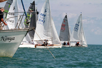 Hornets and Kestrels competing in Brixham Devon