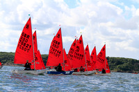 Mirror Dinghies competing at Brixham in the European Championships