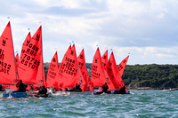 Mirror Dinghies competing at Brixham in the European Championships